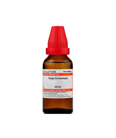 https://cdn.shopify.com/s/files/1/1857/6931/products/zseKlCTa0s.jpg?v=1627007632